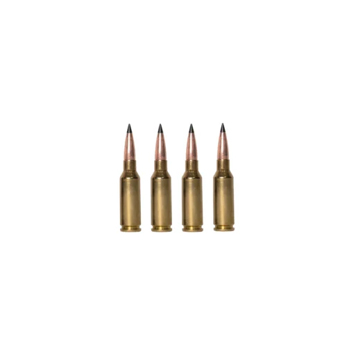 Five brass rifle cartridges standing upright in a row against a white background, tips pointed upward.